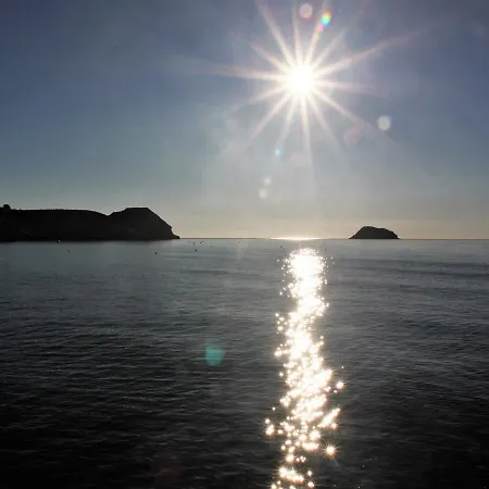 Del Pico Pulpi