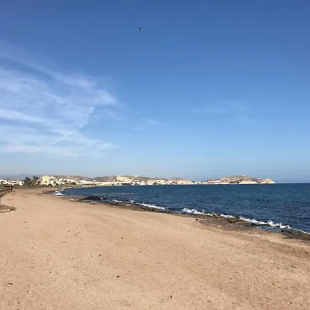 Del Pico Pulpi